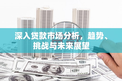 岳麓深入贷款市场分析，趋势、挑战与未来展望