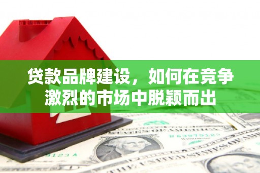岳麓贷款品牌建设，如何在竞争激烈的市场中脱颖而出