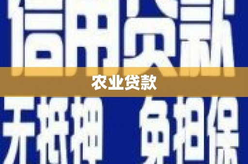 岳麓农业贷款