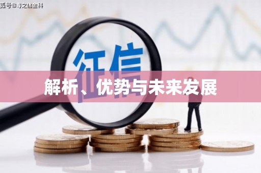 岳麓解析、优势与未来发展