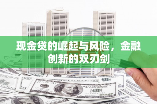 岳麓现金贷的崛起与风险，金融创新的双刃剑