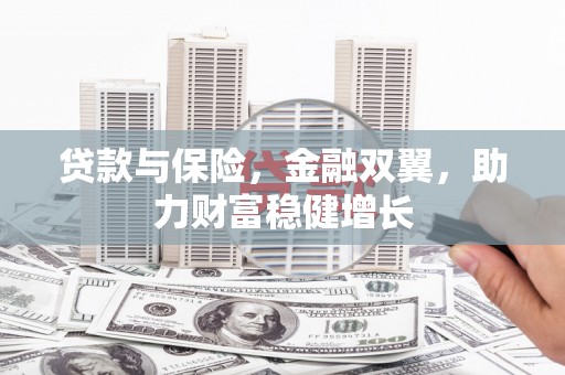 岳麓贷款与保险，金融双翼，助力财富稳健增长