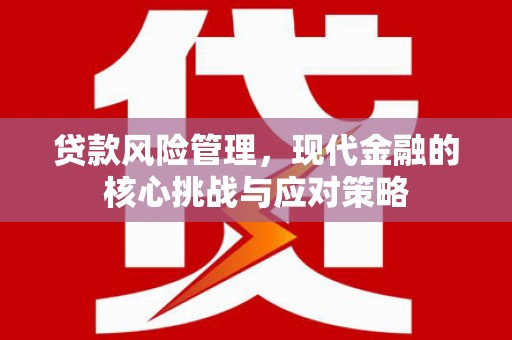 岳麓贷款风险管理，现代金融的核心挑战与应对策略