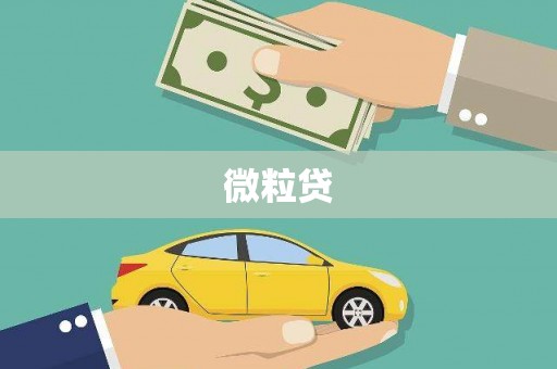 岳麓微粒贷