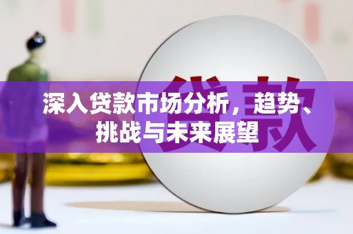 岳麓深入贷款市场分析，趋势、挑战与未来展望