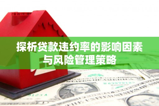 岳麓探析贷款违约率的影响因素与风险管理策略