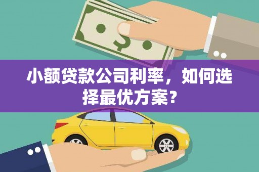 岳麓小额贷款公司利率，如何选择最优方案？