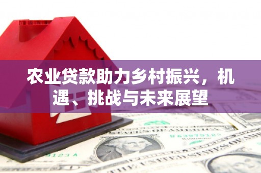 岳麓农业贷款助力乡村振兴，机遇、挑战与未来展望