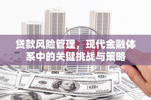 岳麓贷款风险管理，现代金融体系中的关键挑战与策略