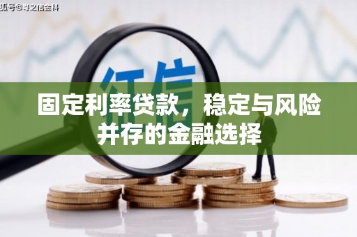 岳麓固定利率贷款，稳定与风险并存的金融选择