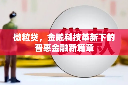 岳麓微粒贷，金融科技革新下的普惠金融新篇章