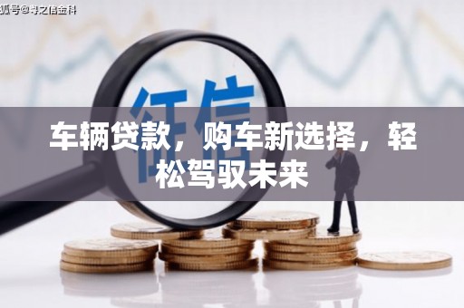 岳麓车辆贷款，购车新选择，轻松驾驭未来