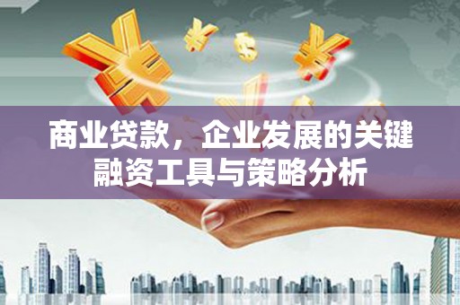 岳麓商业贷款，企业发展的关键融资工具与策略分析