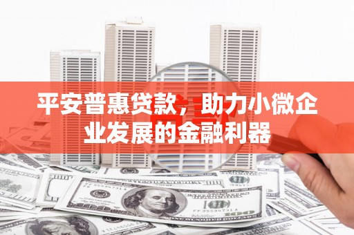 岳麓平安普惠贷款，助力小微企业发展的金融利器