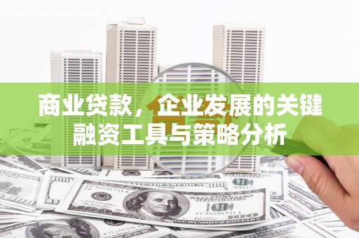 岳麓商业贷款，企业发展的关键融资工具与策略分析