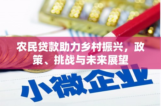 岳麓农民贷款助力乡村振兴，政策、挑战与未来展望