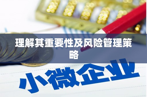 岳麓理解其重要性及风险管理策略