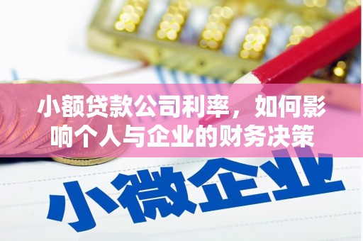 岳麓小额贷款公司利率，如何影响个人与企业的财务决策