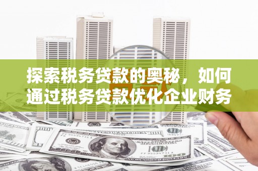 岳麓探索税务贷款的奥秘，如何通过税务贷款优化企业财务