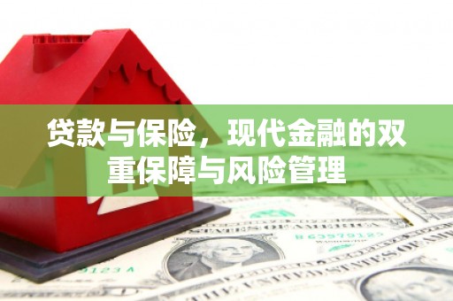 岳麓贷款与保险，现代金融的双重保障与风险管理