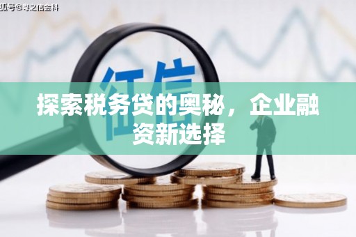 岳麓探索税务贷的奥秘，企业融资新选择