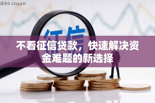 岳麓不看征信贷款，快速解决资金难题的新选择