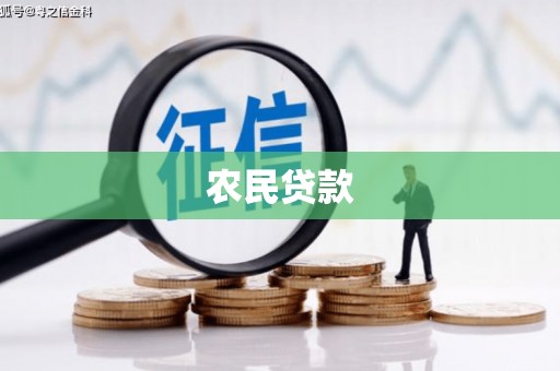 岳麓农民贷款