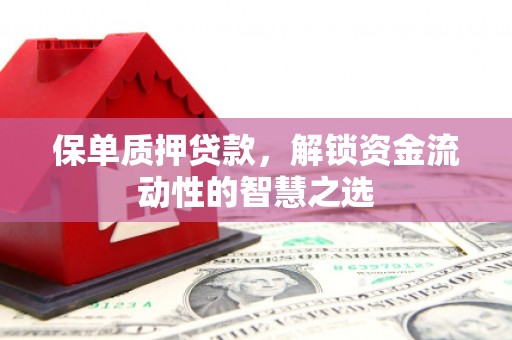岳麓保单质押贷款，解锁资金流动性的智慧之选