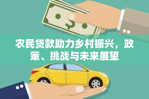 岳麓农民贷款助力乡村振兴，政策、挑战与未来展望
