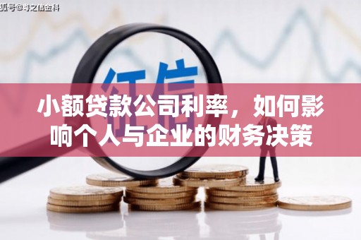 岳麓小额贷款公司利率，如何影响个人与企业的财务决策