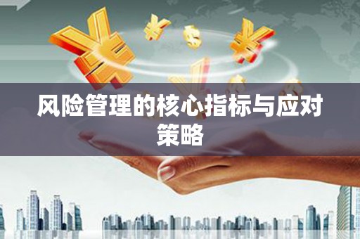 岳麓风险管理的核心指标与应对策略