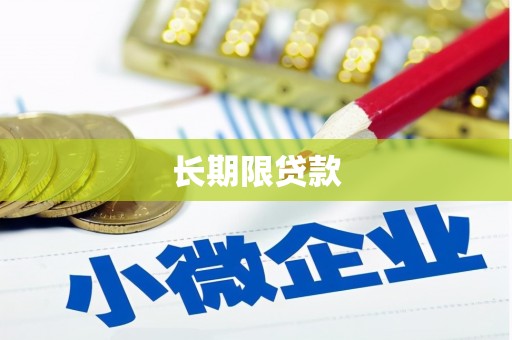 岳麓长期限贷款