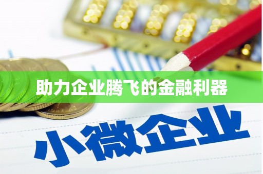 岳麓助力企业腾飞的金融利器