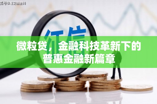 岳麓微粒贷，金融科技革新下的普惠金融新篇章