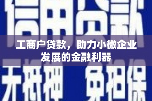 岳麓工商户贷款，助力小微企业发展的金融利器