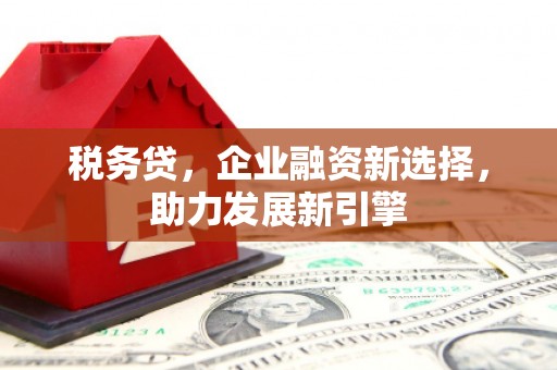 岳麓税务贷，企业融资新选择，助力发展新引擎