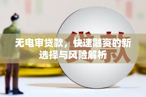 岳麓无电审贷款，快速融资的新选择与风险解析