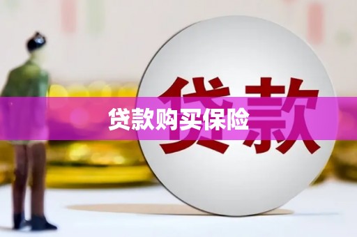 岳麓贷款购买保险