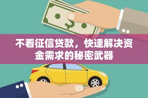岳麓不看征信贷款，快速解决资金需求的秘密武器
