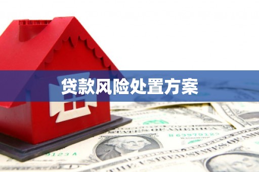岳麓贷款风险处置方案