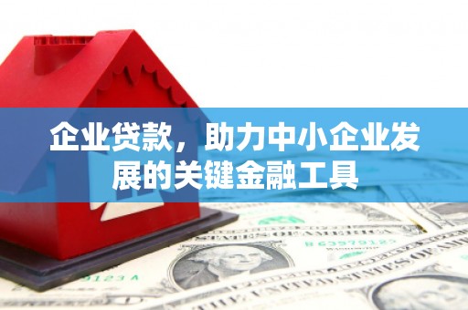 岳麓企业贷款，助力中小企业发展的关键金融工具