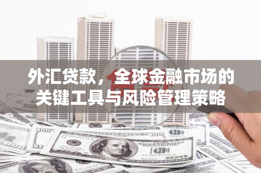 岳麓外汇贷款，全球金融市场的关键工具与风险管理策略