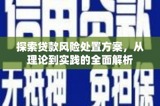 岳麓探索贷款风险处置方案，从理论到实践的全面解析