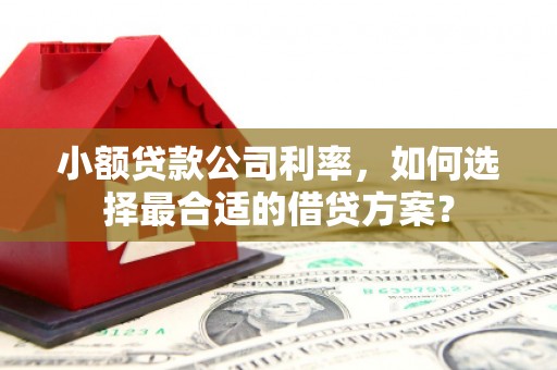 岳麓小额贷款公司利率，如何选择最合适的借贷方案？