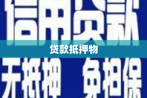 岳麓贷款抵押物