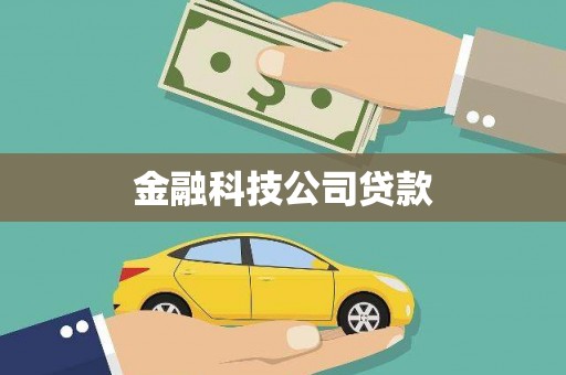 岳麓金融科技公司贷款