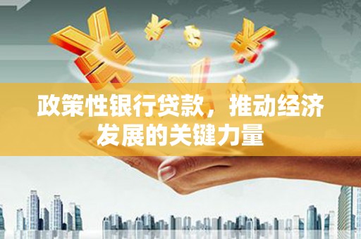 岳麓政策性银行贷款，推动经济发展的关键力量