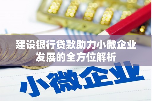 岳麓建设银行贷款助力小微企业发展的全方位解析