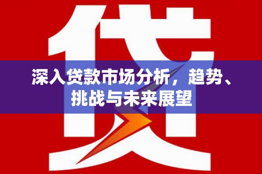 岳麓深入贷款市场分析，趋势、挑战与未来展望