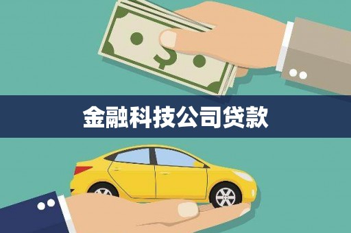 岳麓金融科技公司贷款